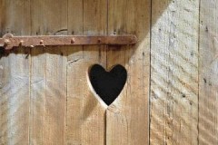 Pequeños trucos sobre cómo eliminar el olor del baño de la calle (campo, campo)