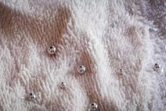 ¿Cómo eliminar de forma limpia y segura el mercurio de la alfombra?