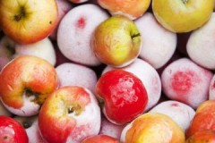 Pregunta de relleno: ¿a qué temperatura se deben almacenar las manzanas?