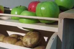 Enfoque científico: ¿es posible almacenar manzanas en la bodega junto con patatas?